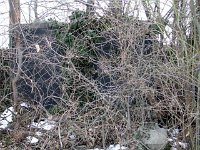 49 Friedmann György